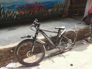 Phoneix Tropper Cycle New