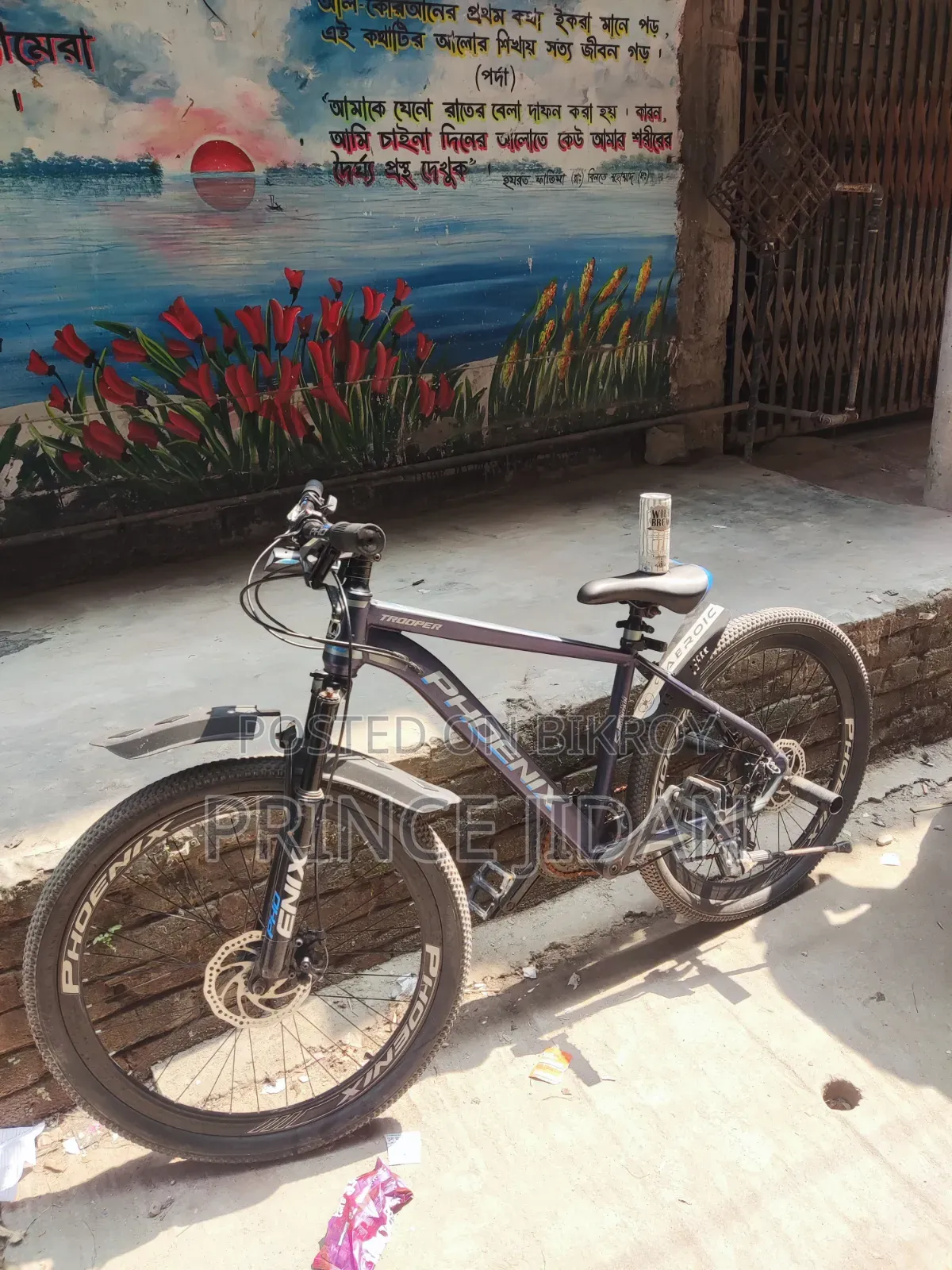 Phoneix Tropper Cycle New