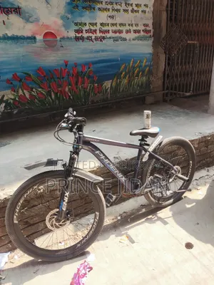 Phoneix Tropper Cycle New