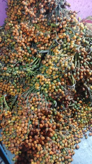 নোয়াখালীর পাকা সুপারি