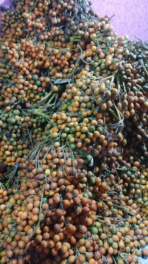 নোয়াখালীর পাকা সুপারি