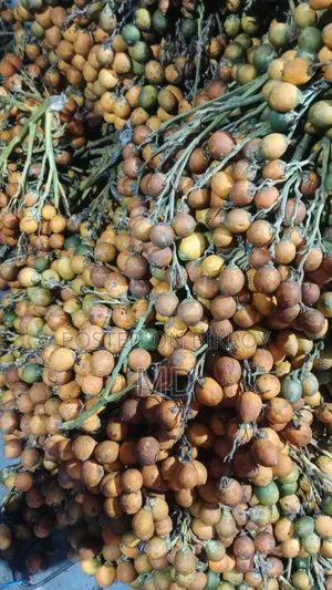 নোয়াখালীর পাকা সুপারি