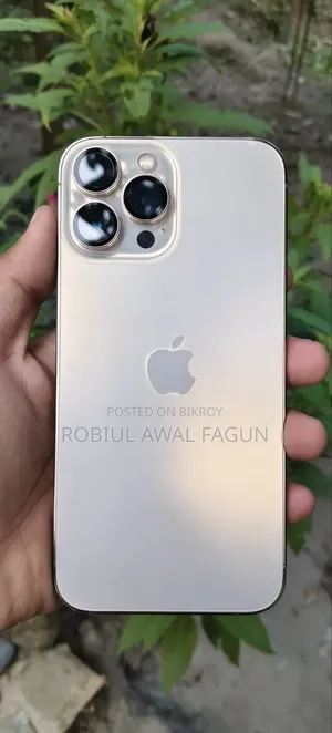অ্যাপল আইফোন ১৩ প্রো ম্যাক্স ২৫৬ জিবি গোল্ড