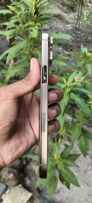অ্যাপল আইফোন ১৩ প্রো ম্যাক্স ২৫৬ জিবি গোল্ড