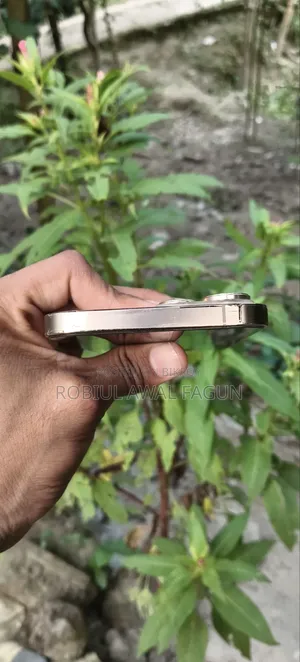 অ্যাপল আইফোন ১৩ প্রো ম্যাক্স ২৫৬ জিবি গোল্ড