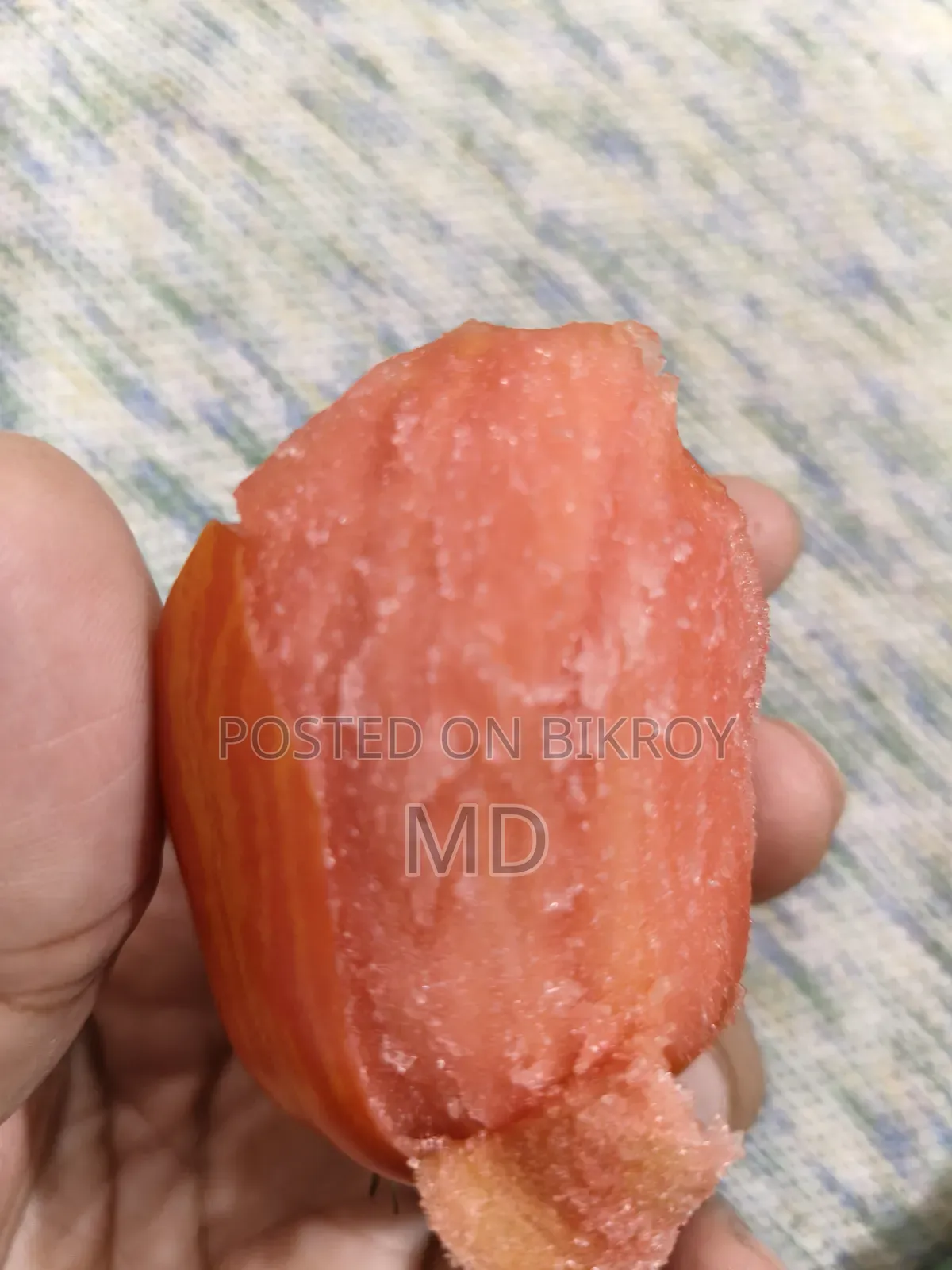 টমেটো প্ল্যান্ট