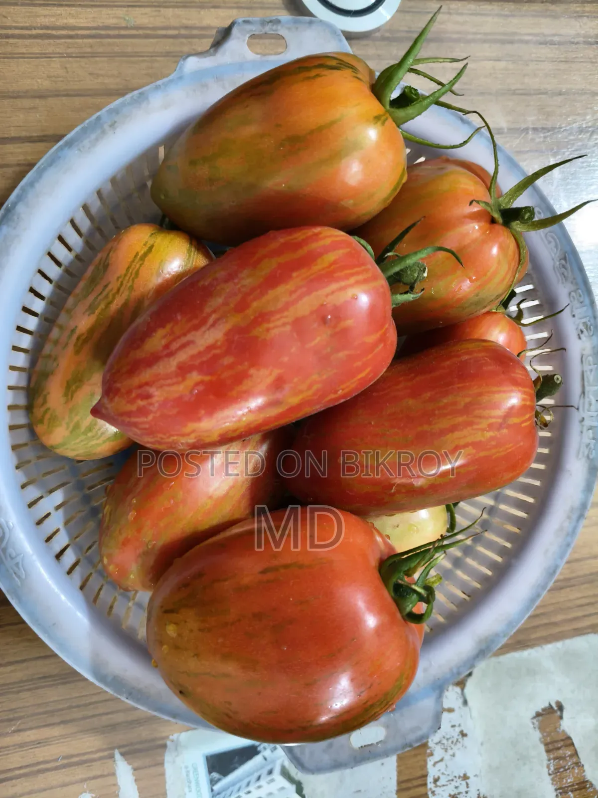 টমেটো প্ল্যান্ট