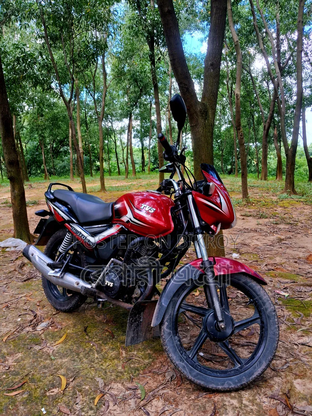 TVS Metro Plus 2019 Red