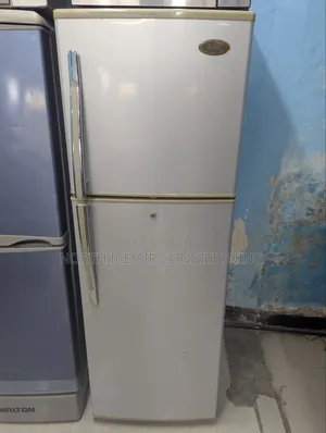 বাটারফ্লাই সিলভার কালার ২০৩ লিটার