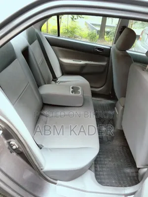 Mitsubishi Lancer 2011 Gray