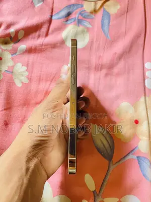অ্যাপল আইফোন ১৩ প্রো ম্যাক্স ১২৮ জিবি রোজ গোল্ড