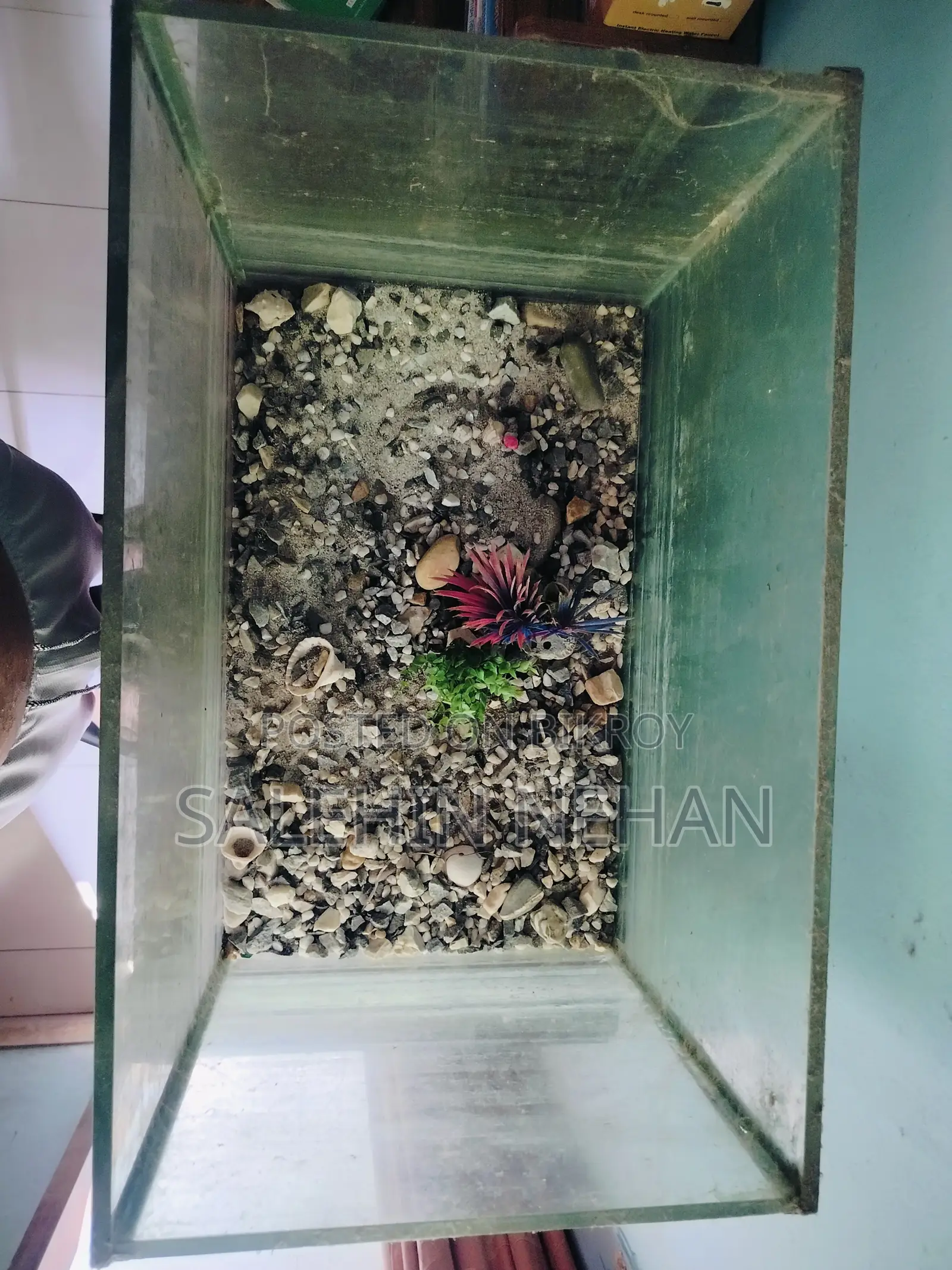 বড় সাইজের অ্যাকোয়ারিয়াম