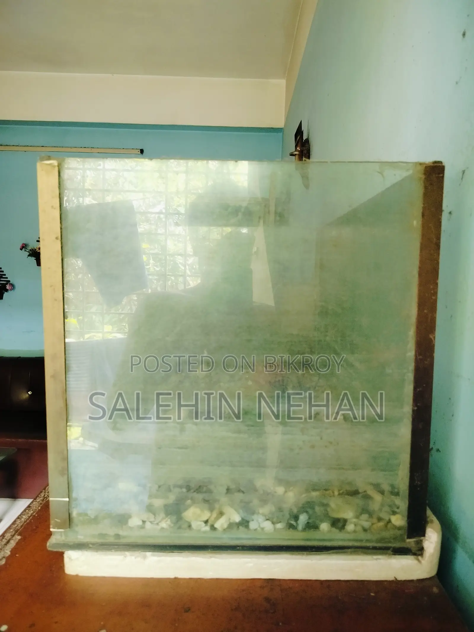 বড় সাইজের অ্যাকোয়ারিয়াম