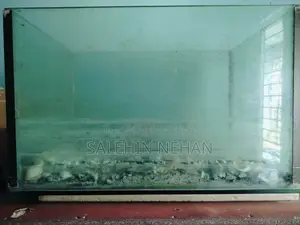 বড় সাইজের অ্যাকোয়ারিয়াম