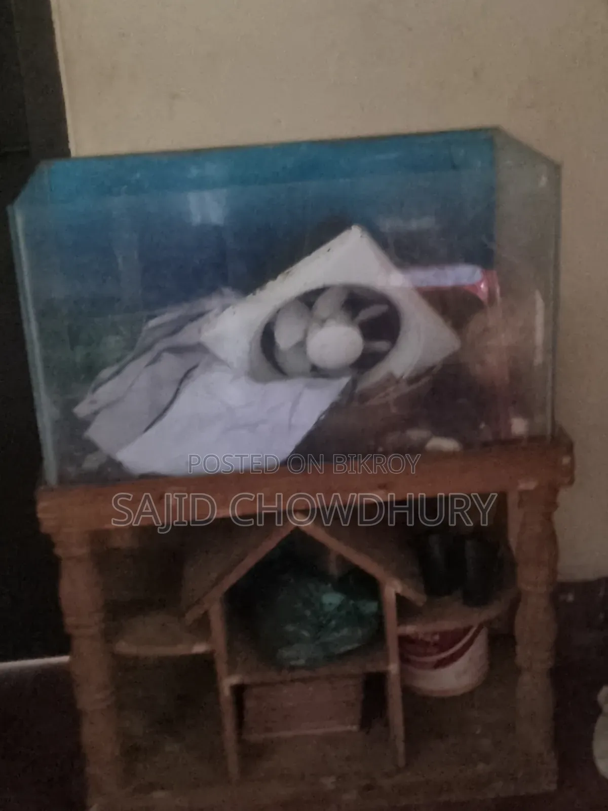অ্যাকোয়ারিয়াম বিক্রি
২.৩০ ফুট
সাথে বড় ও ছোট পাথর আছে
অক্সিজেন
অনেক ভারী