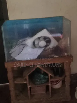 অ্যাকোয়ারিয়াম বিক্রি
২.৩০ ফুট
সাথে বড় ও ছোট পাথর আছে
অক্সিজেন
অনেক ভারী