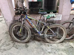বাইসাইকেল ফনিক্স
