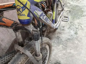বাইসাইকেল ফনিক্স