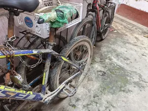 বাইসাইকেল ফনিক্স