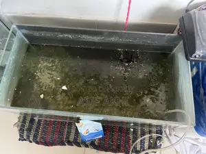 Fish Tank