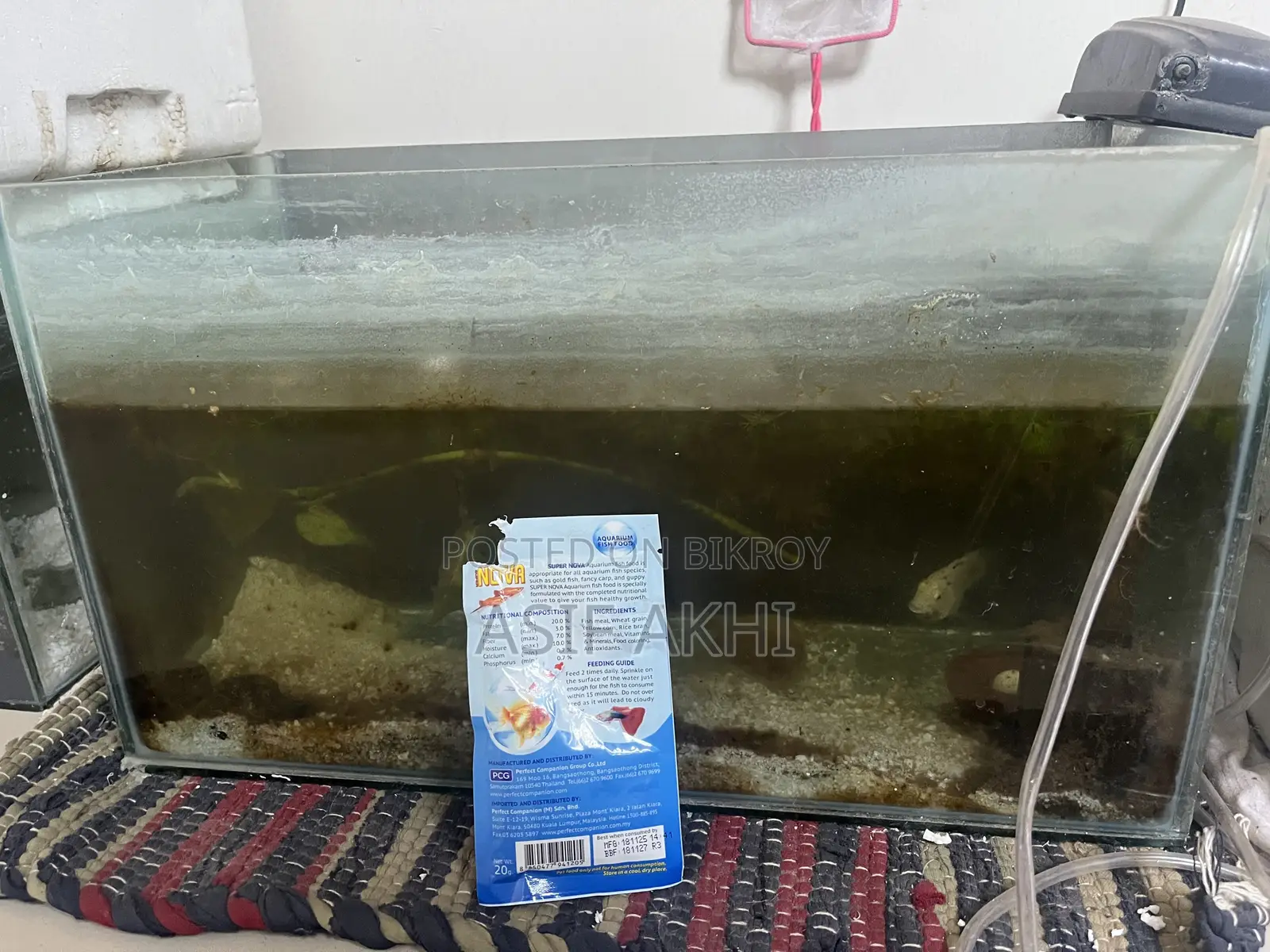 Fish Tank