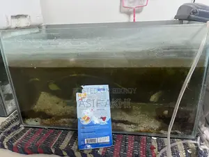 Fish Tank