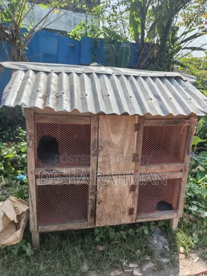 মুরগির খোপ