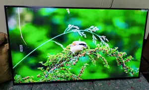 LG NanoCell 55" Smart TV