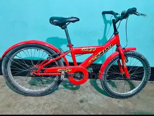 ২০" দুরন্ত বাইসাইকেল