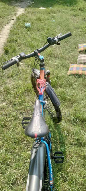 ফোল্ডিং সাইকেল