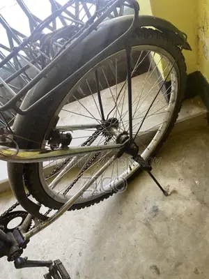 Ranger Max Cycle