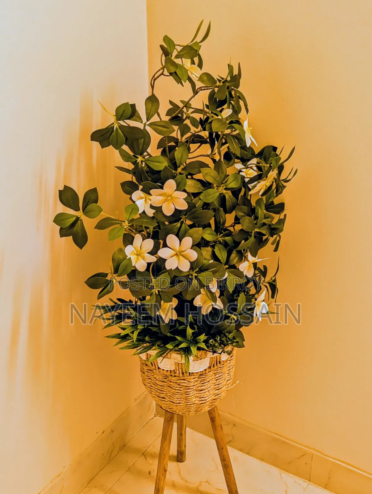 Furnished 3bdrm Apartment in Dhaka, Dhanmondi for rent