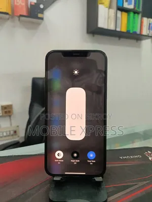 Apple iPhone 12 Pro Max 256 GB Blue