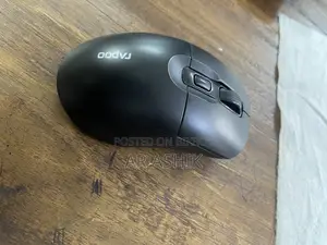 Rapoo M306