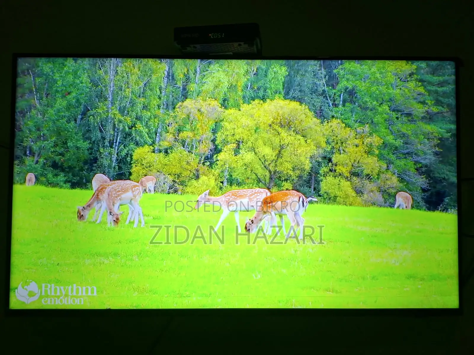 Samsung TV