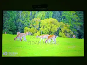 Samsung TV