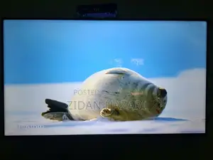 Samsung TV