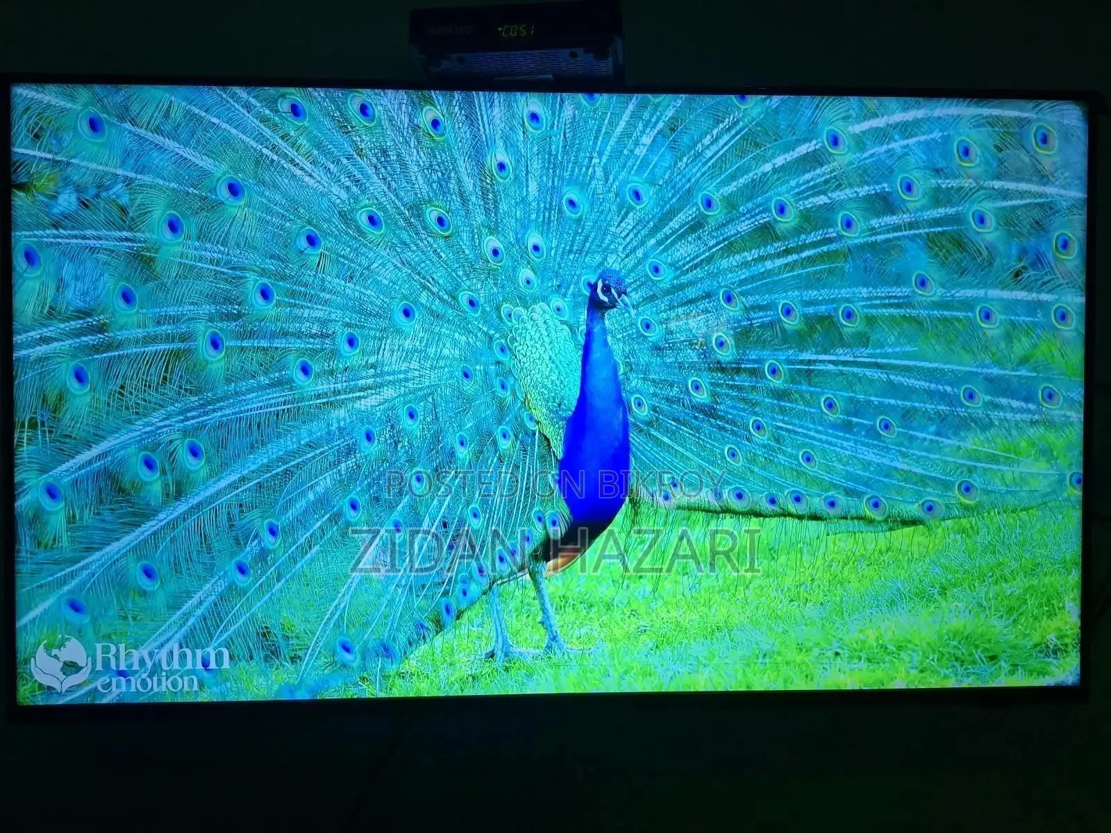 Samsung TV