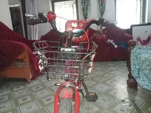 রোভান সাইকেল
