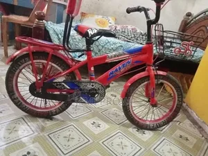 রোভান সাইকেল