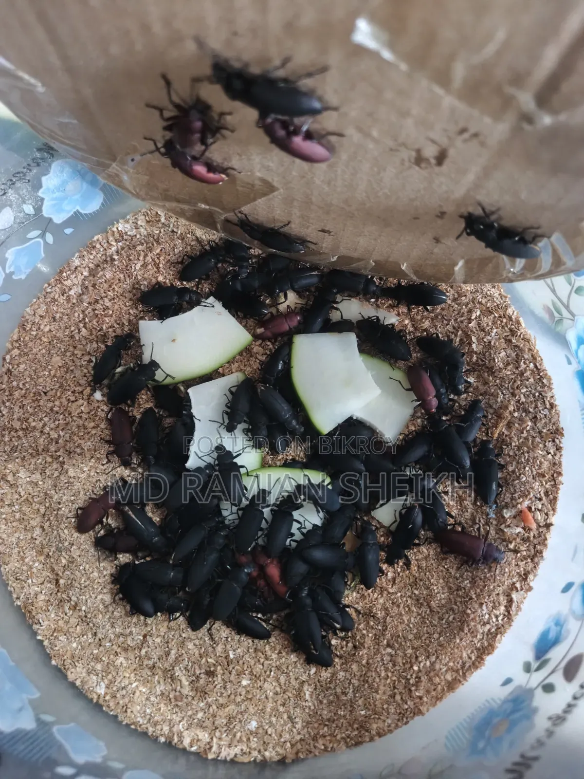 বিক্রয় করা হবে