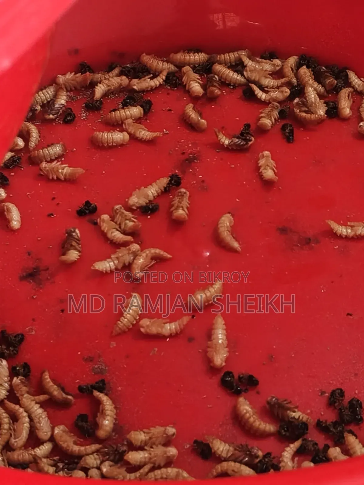 বিক্রয় করা হবে