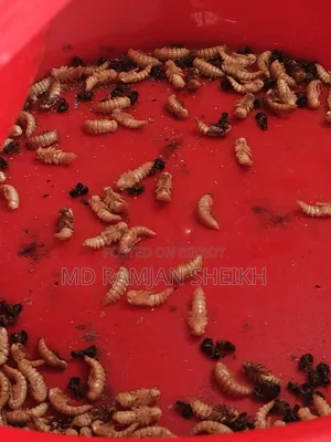 বিক্রয় করা হবে