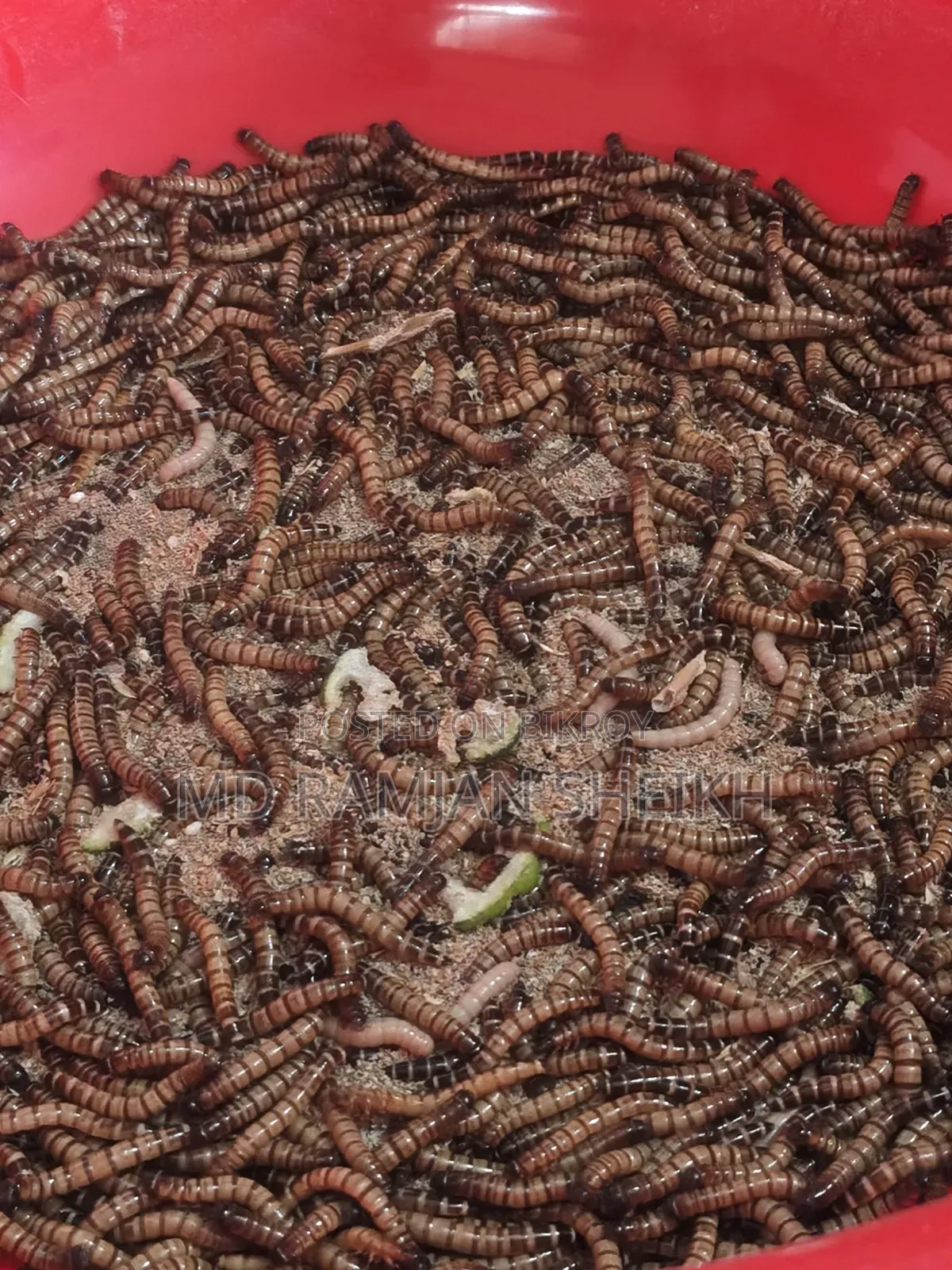 বিক্রয় করা হবে