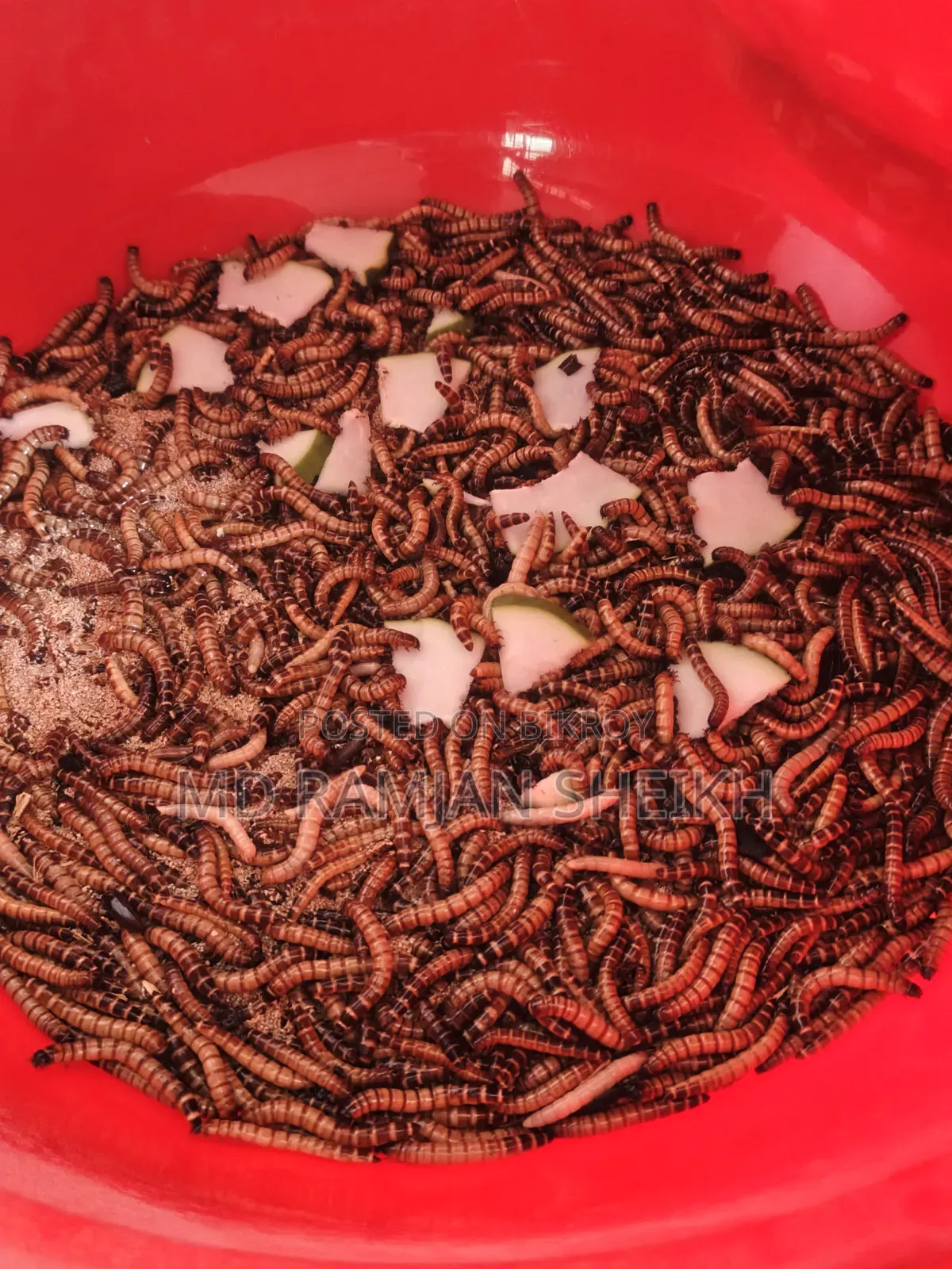 বিক্রয় করা হবে