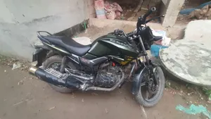 হিরো হাঙ্ক ২০২০ গ্রিন