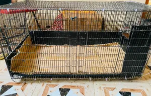 18x36 Portable Cage
