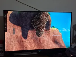 Nova 32" Voice Control TV