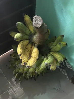 All types of improved variety bananas are sold here.
