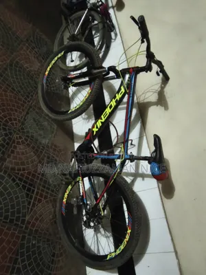 ১০ গিয়ার সাইকেল